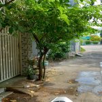  50m2 - 1