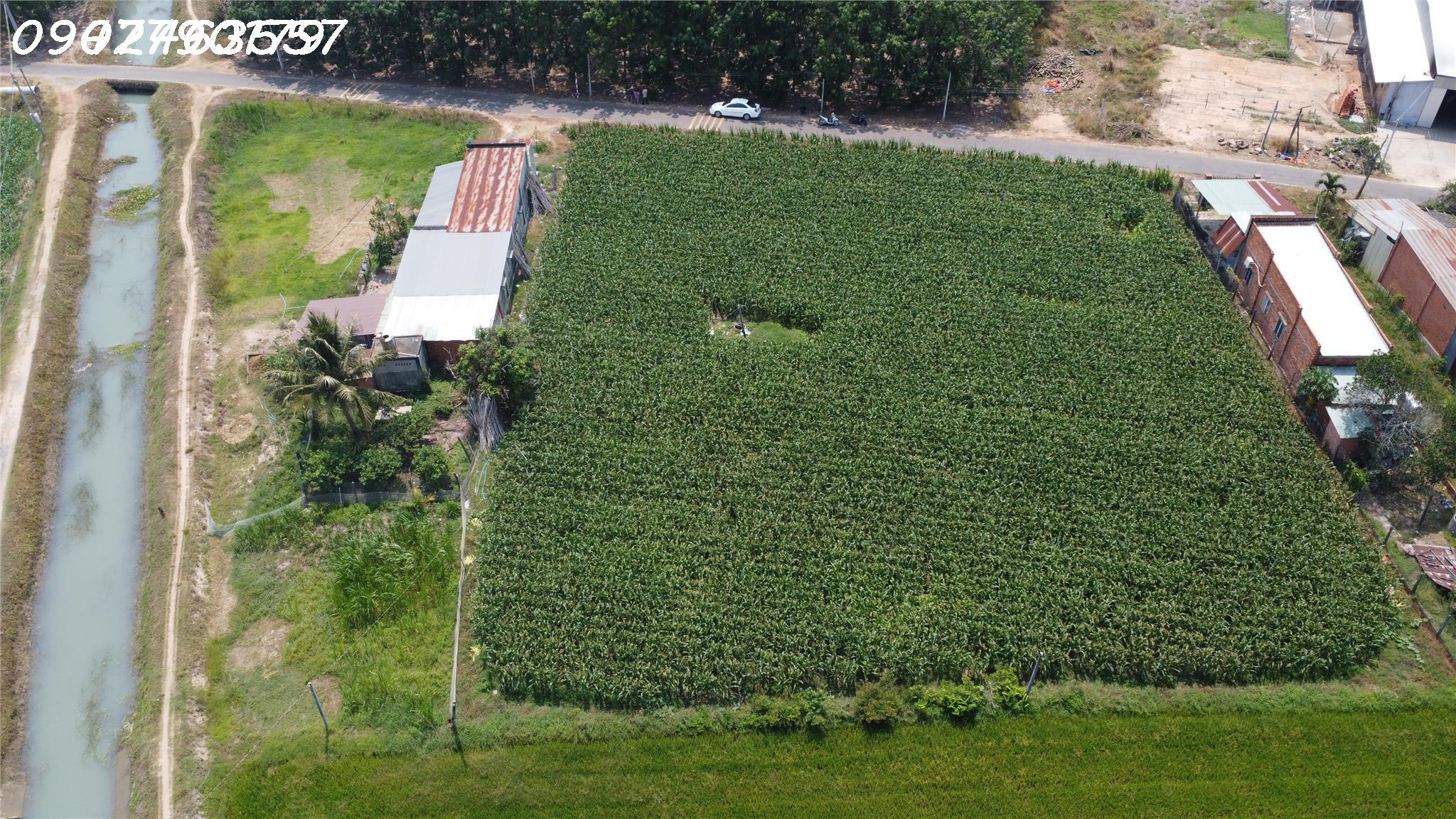 Đất rẻ đẹp tại khu vực năng động - Hãy nhanh tay sở hữu