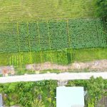  260m2 - 6
