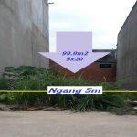 100m2 - 1