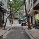 50m2 - 1