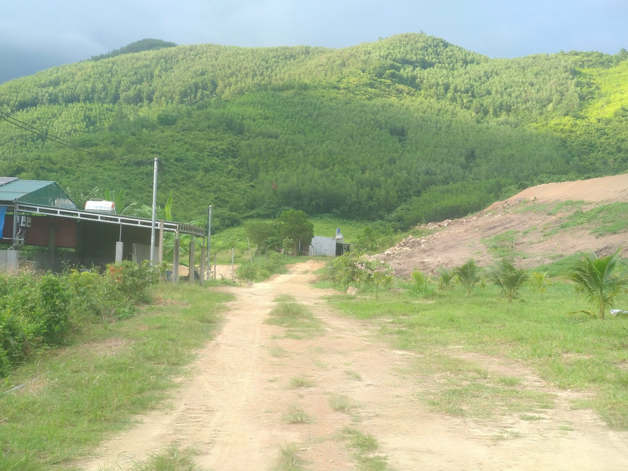 Bán trang trại 20 ha ninh hoà giá rẻ chỉ 8 tỉ