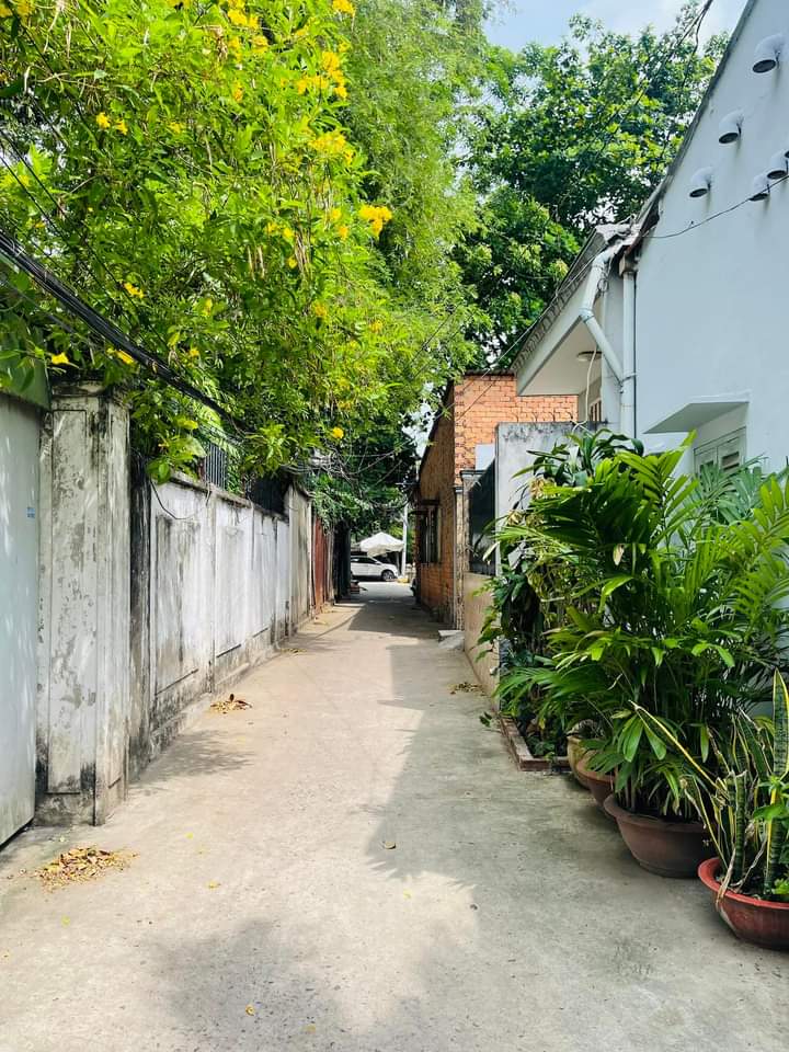 Diện tích to giá chỉ 3 tỷ nhỉnh - không quy hoạch - Phường 16 Gò Vấp