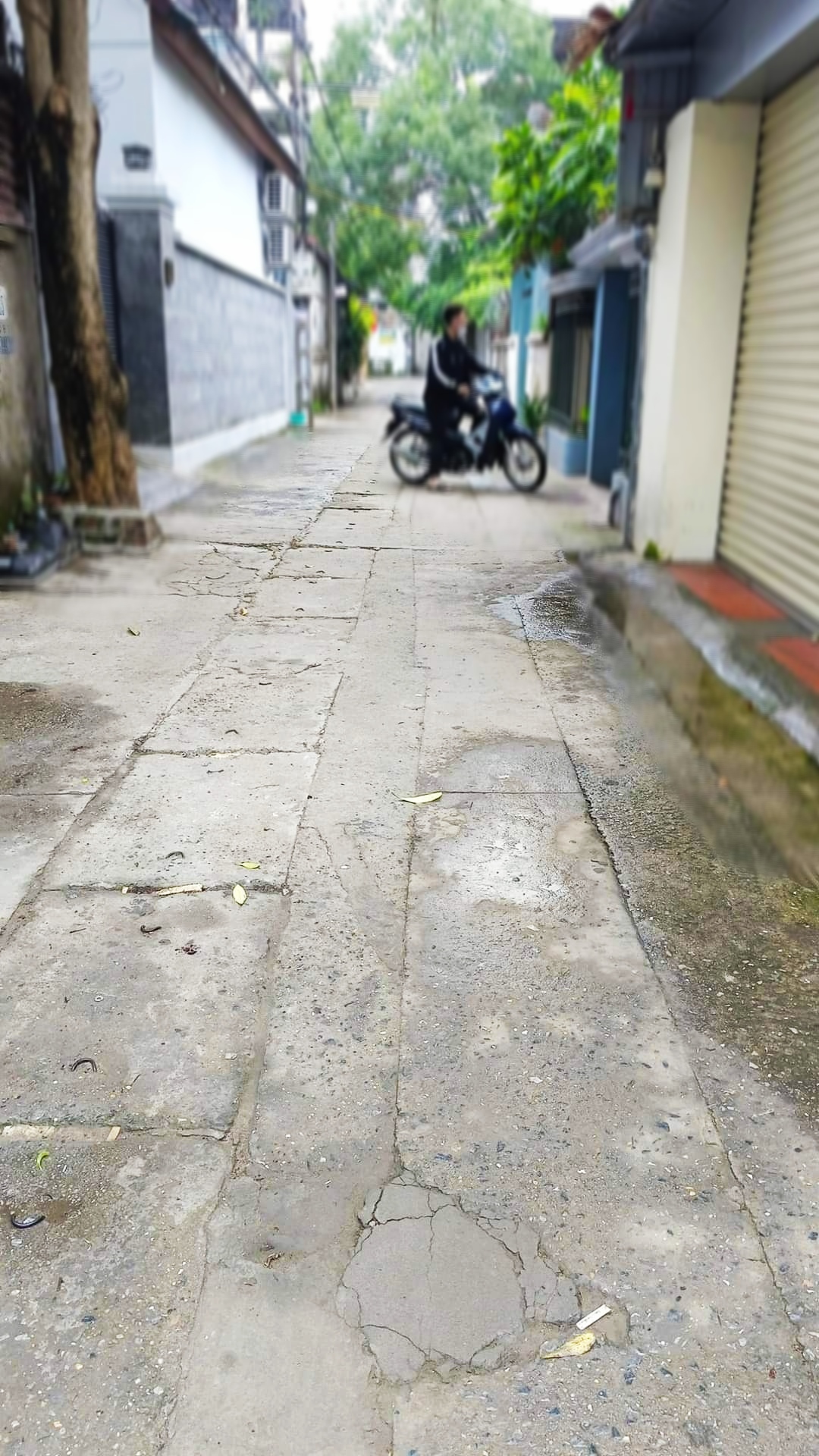 Bán đất tặng nhà Ngọc Thụy, LB. 51m2, MT3.3m. Oto tránh,nhỉnh 2Tỷ