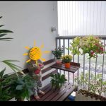  84m2 - 7