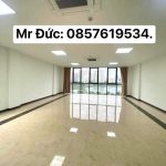  100m2 - 4