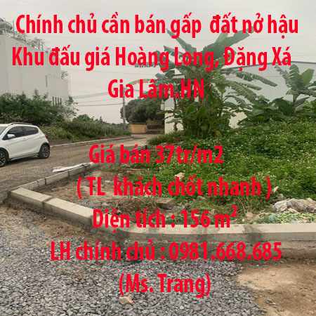 Chính chủ cần bán gấp 156m2 đất nở hậu Khu đấu giá Hoàng Long, Đặng Xá, Gia Lâm