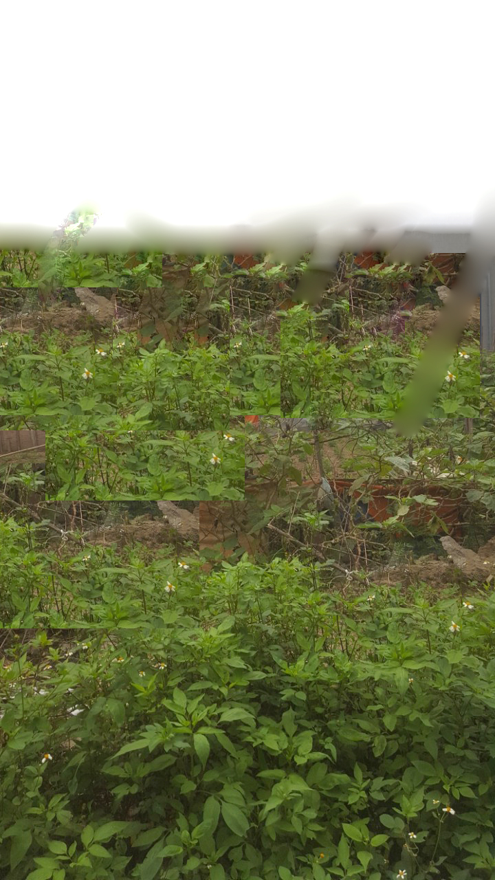 Chỉ 2 tỷ đất Thiên Đức, Vạn An 70m² ô tô vào nhà.