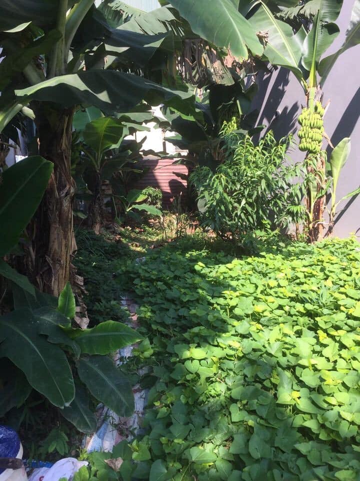 Bán lô đất đẹp chính chủ Tổ 10 phường Tân Thanh, Tp Điện Biên Phủ.