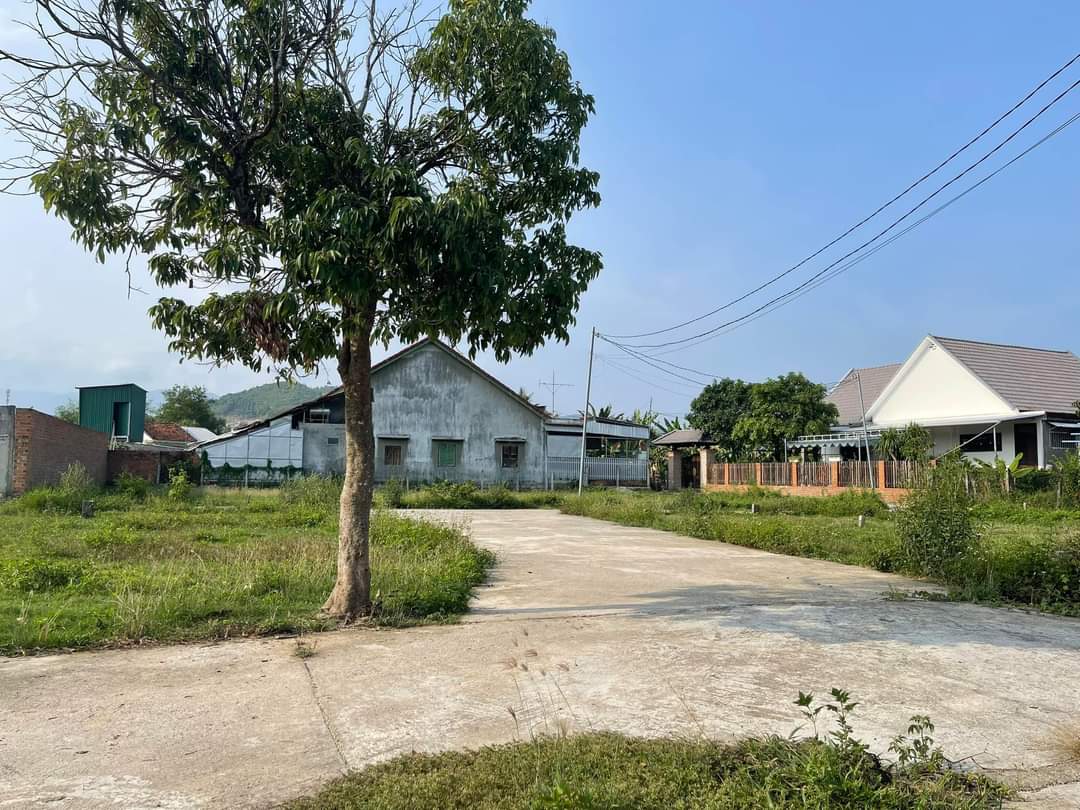 Bán đất Diên Lạc giá rẻ cách Tỉnh Lộ 2 đúng 300m