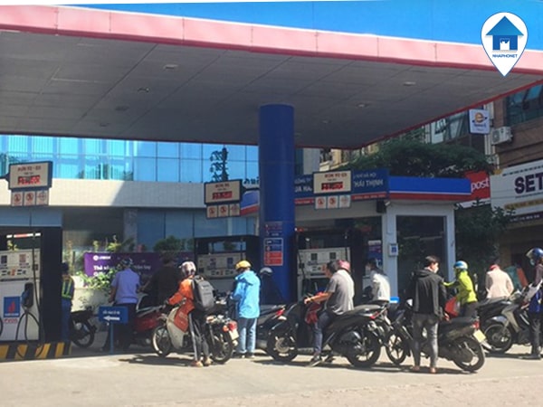 cay-xang-thai-thinh-gan-cay-xang-nam-dong