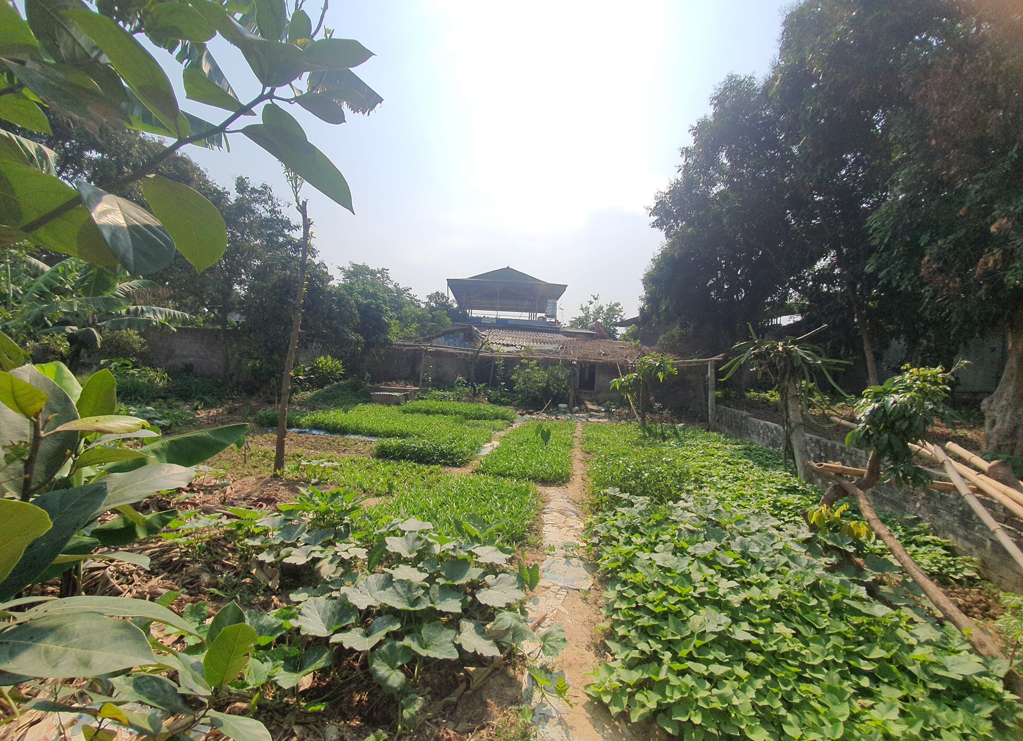 Nhà em có mảnh đất cần b.á.n tại khu Thanh Đông – Thanh Luông