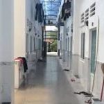  100m2 - 3