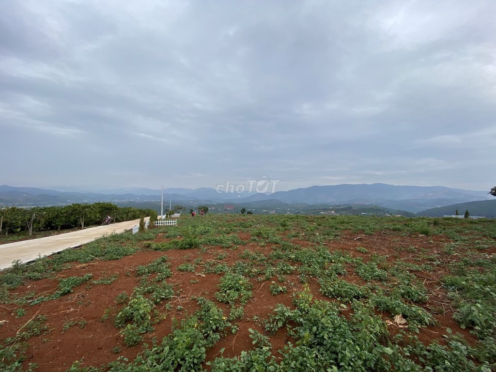 Chính chủ bán đất nghỉ dưỡng Huyện Lâm Hà, Lâm Đồng