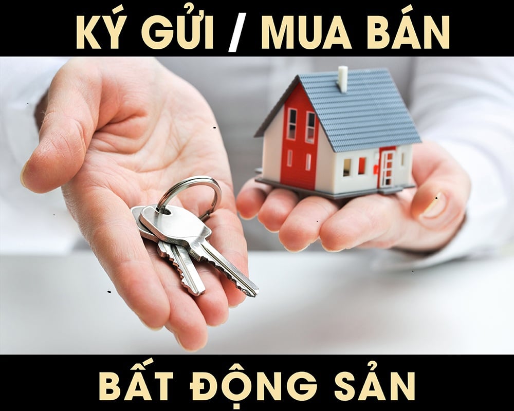 Bán gấp nhà HXH Lạc Long Quân, P3, Quận 11