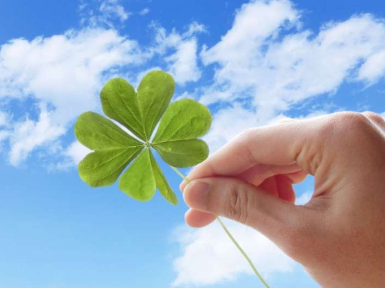 ngay-hoang-dao-thang-12-nam-2023-0