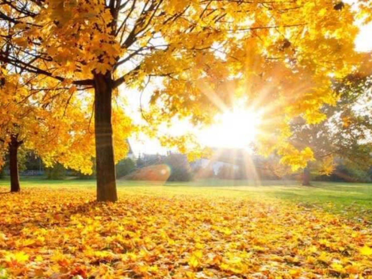 ngay-hoang-dao-thang-8-2023-0