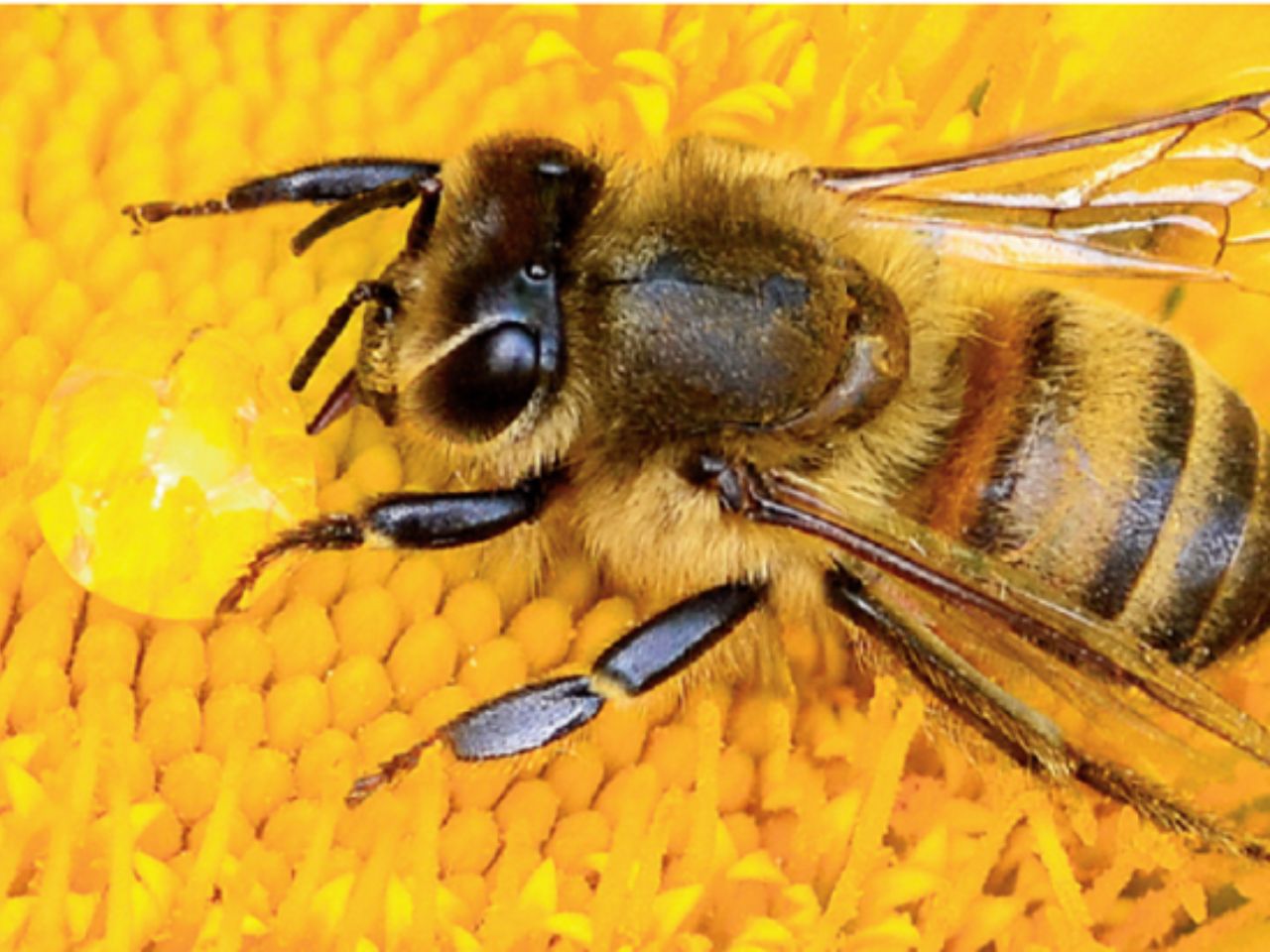 ong-lam-to-tren-mai-nha-tot-hay-xau-0