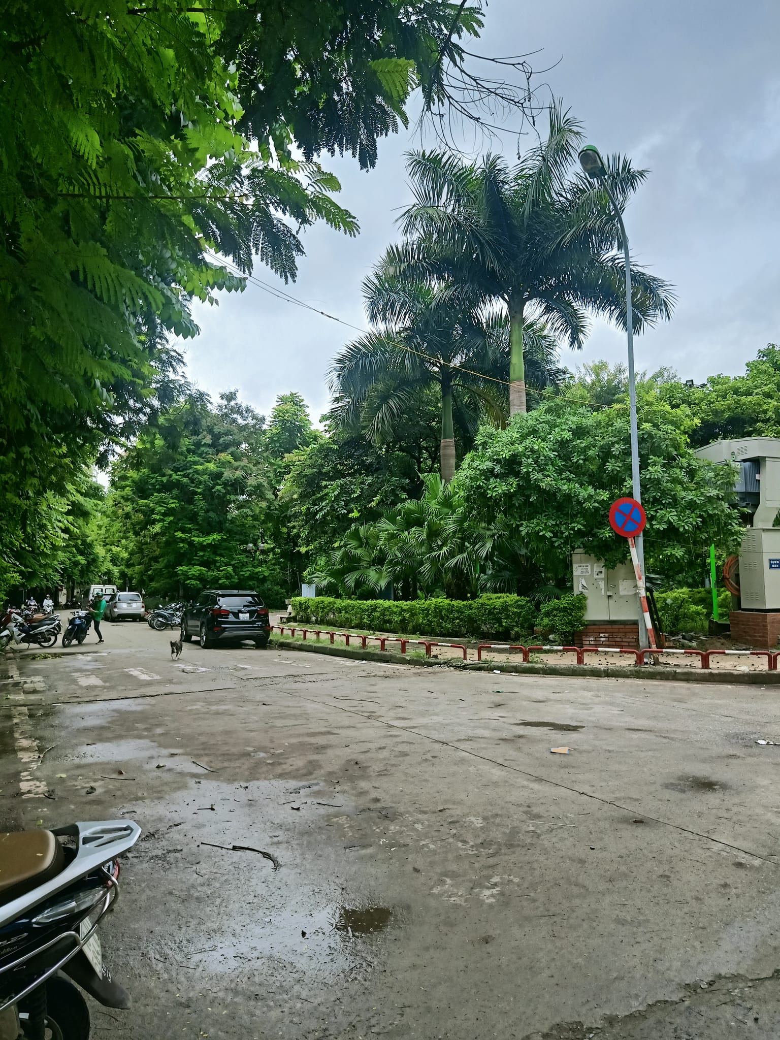 BÁN NHÀ VỊ TRÍ NGÕ TRẦN QUANG DIỆU ĐỐNG ĐA GẦN HỒ HOÀNG CẦU TÂY SƠN NGUYỄN LƯƠNG BẰNG 31M 5 TẦNG 5.5 T Ỷ