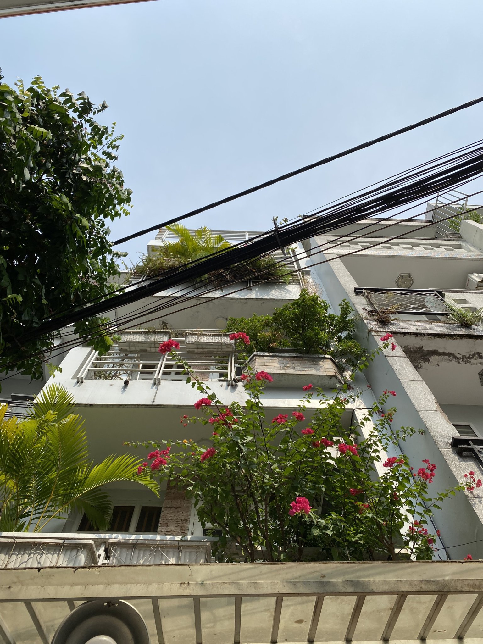 Gấp ! Bán gấp nhà hẻm 4m Thích Quảng Đức, P.5, Quận Phú Nhuận