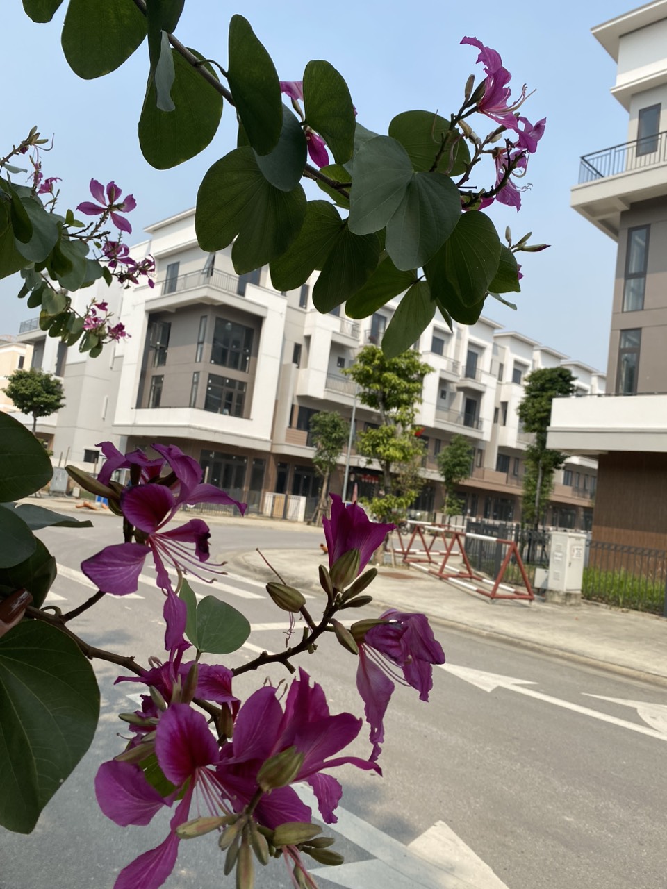 Được ví như viên Kim Cương nằm trong lòng Thành Phố Từ Sơn.