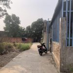 100m2 - 1