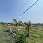  1005m2 - 5