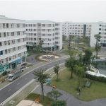  50m2 - 1