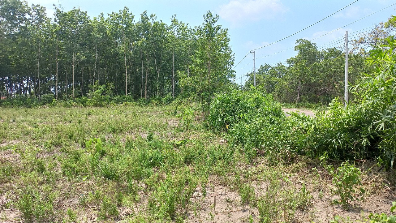 Còn duy nhất 3 lô 270m2 , lên thổ 100m2, đường nhựa 16m , cư dân về ở đông