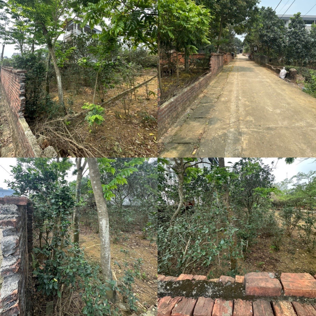 Tôi là chính chủ của một mảnh đất tại khu Phú Cát - Quốc Oai - Hà Nội muốn bán. Diện tích của mảnh đất là 200m2 và có