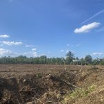  500m2 - 6