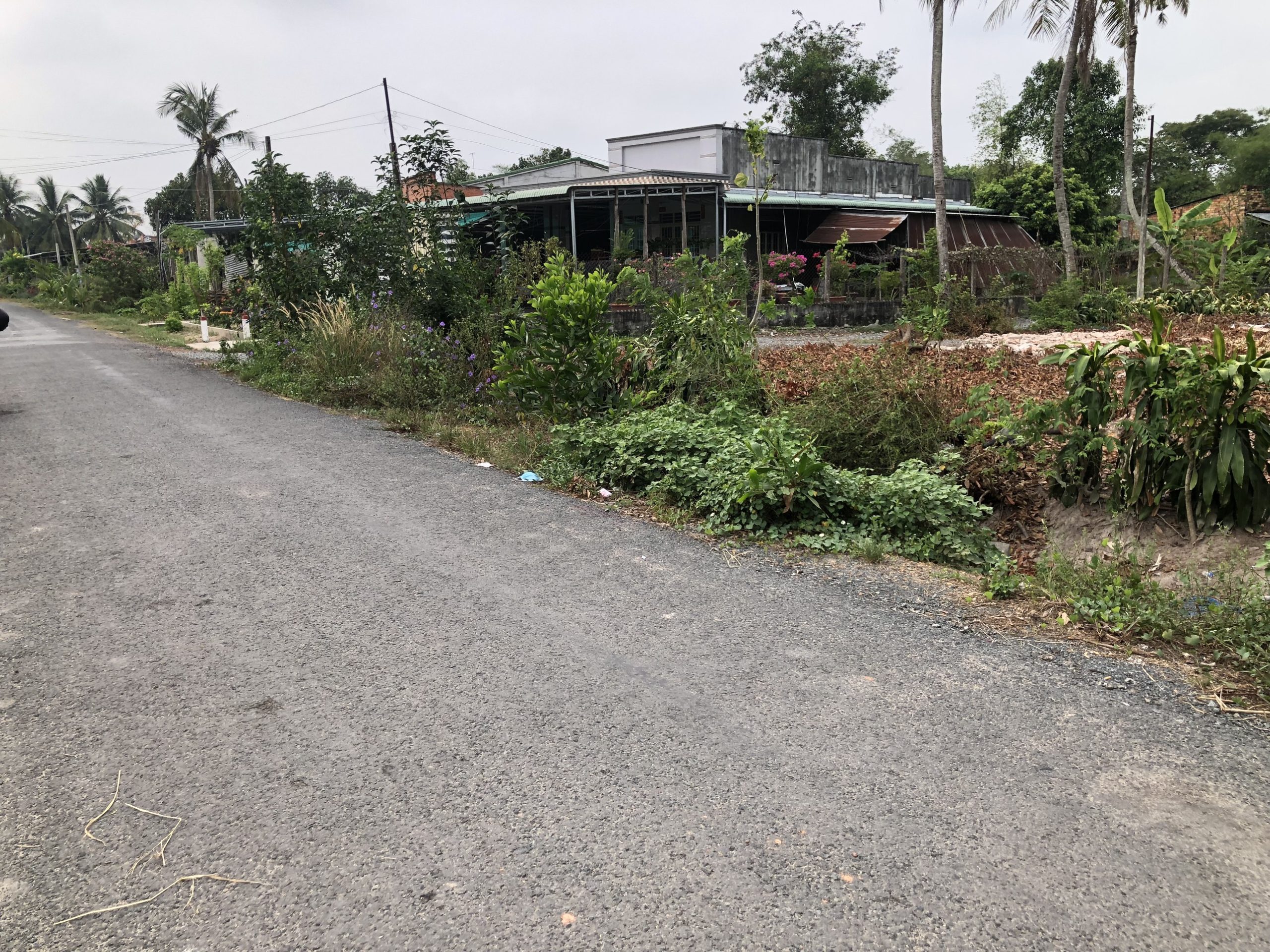 Đất Thổ Cư Mặt Tiền Nhựa Nằm Trong Khu Dân Cư Đông Đúc tại Truông Mít, Dương Minh Châu, Tây Ninh