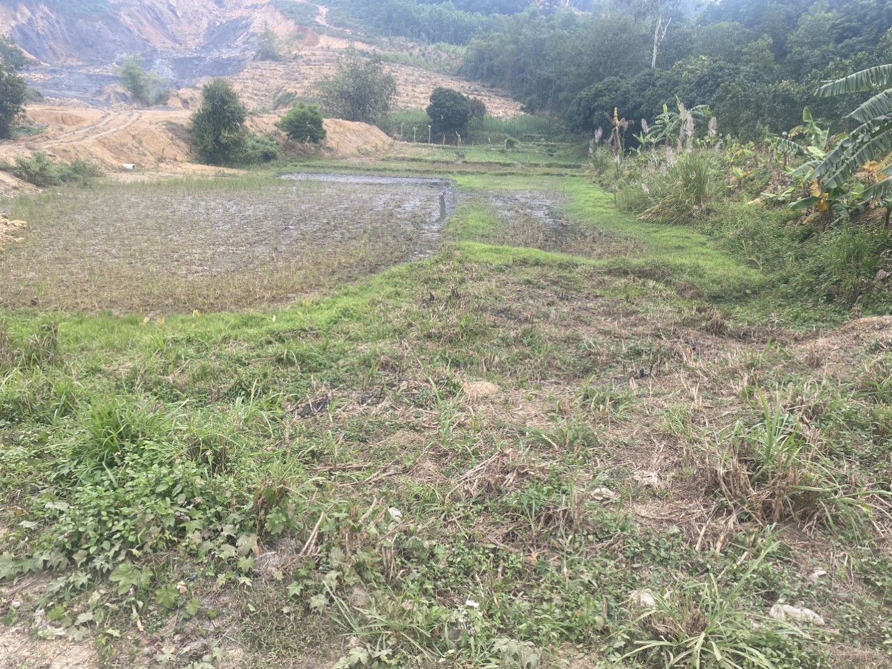 Chỉ 3 tỷ có ngay 1100m siêu rộng và đẹp, xung quanh là các Risot và Homstay.