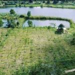  150m2