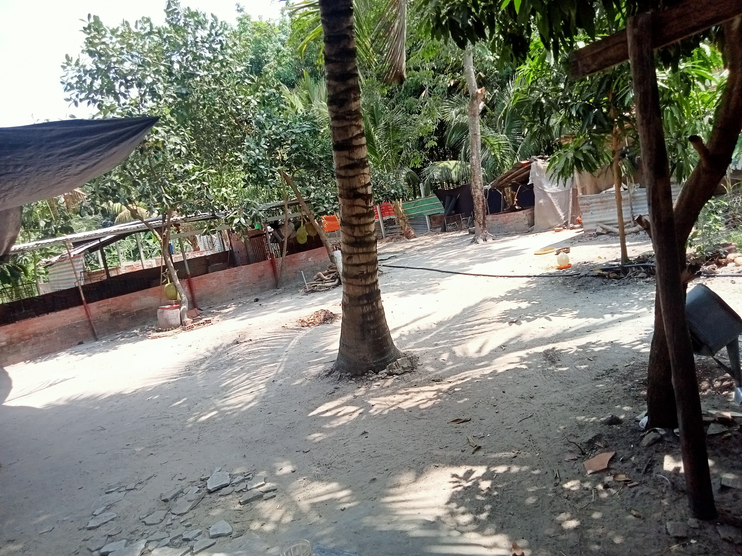 Chính Chủ Cần Bán Gấp Nhà Đất tại Trà Vong Tân Biên Tây Ninh