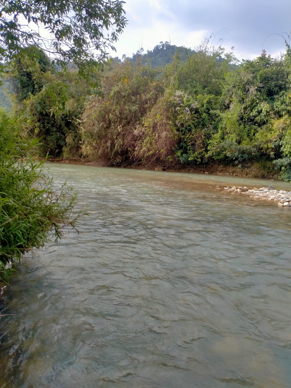 E gửi đến quý vị một view làm nghỉ dưỡng resort..một mảnh đất bằng trang nằm giữa côn đảo.Ôm sông lớn.