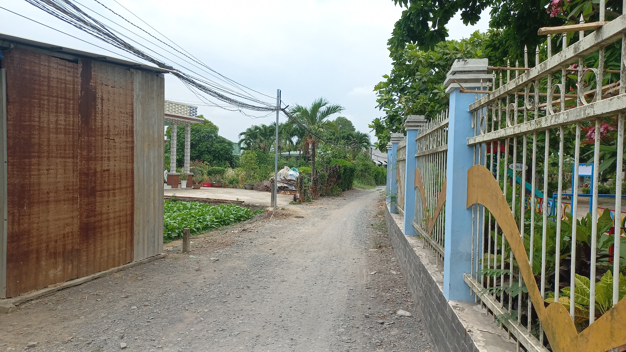 Bán Lô Đất Lớn Ngay Ngã 4 Xoài Đôi - Xã Long Trạch - Cần Đước - Long An