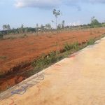  500m2