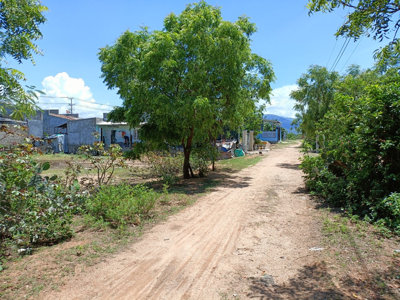 Bán 3 Lô Đất Tại Xã Tri Hải, Huyện Ninh Hải, Ninh Thuận