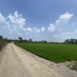  4000m2 - 6