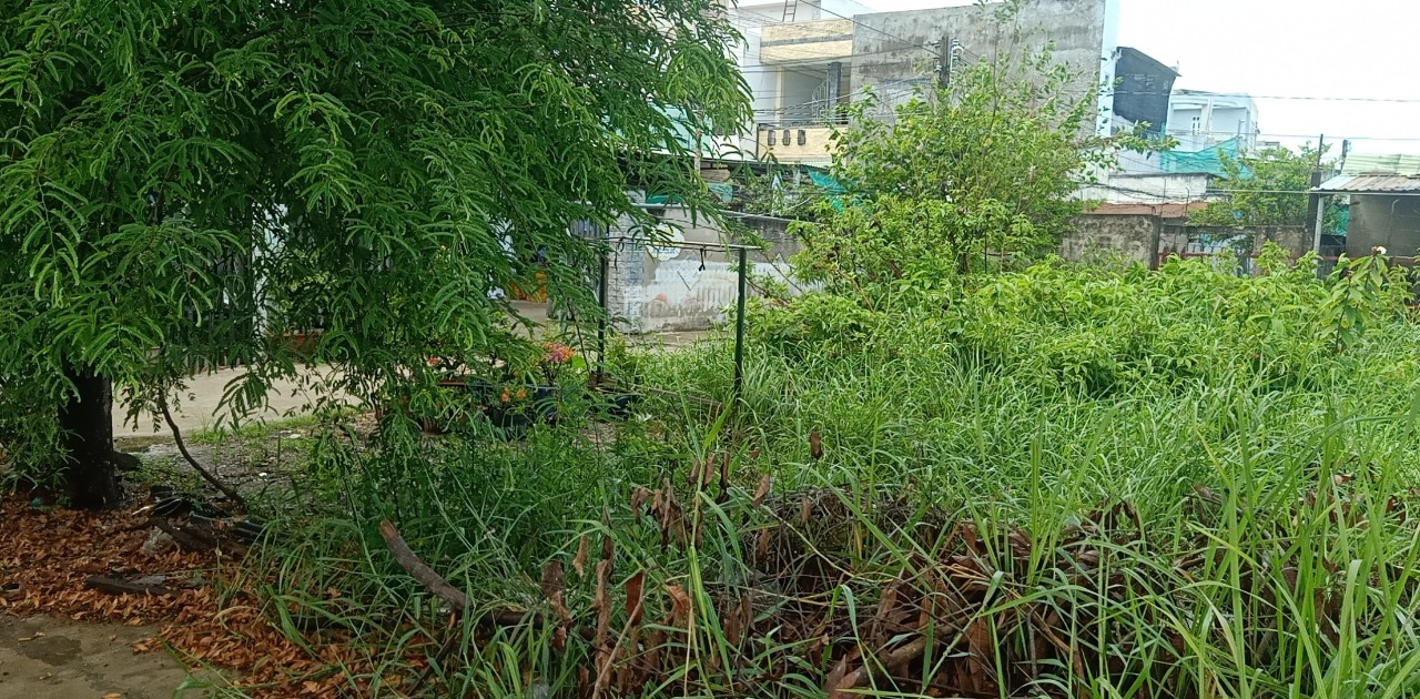 Bán Lô Đất Góc 2 Mặt Tiền Khu Dân Cư Thị Trấn Thủ Thừa, Long An