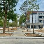  100m2 - 4