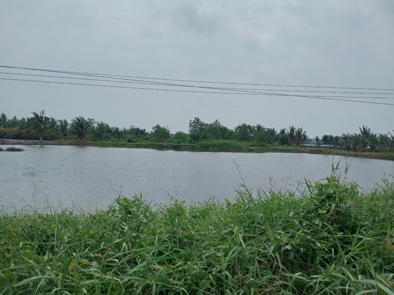 CHÍNH CHỦ CẦN BÁN LÔ ĐẤT XÃ TÂY YÊN HUYỆN AN BIÊN TỈNH KIÊN GIANG