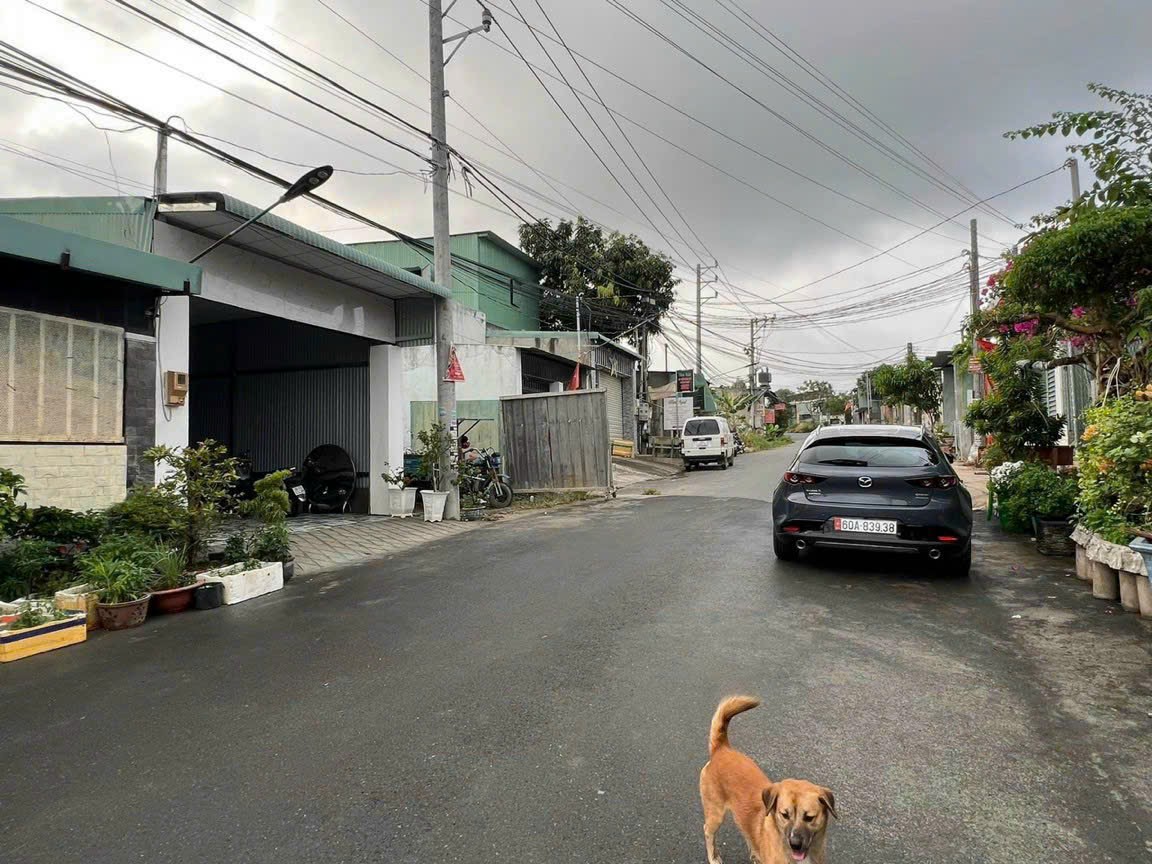 Bán nhà mặt đường buôn bán, khu phố 3A, gần ubnd phường Trảng Dài. Biên Hòa