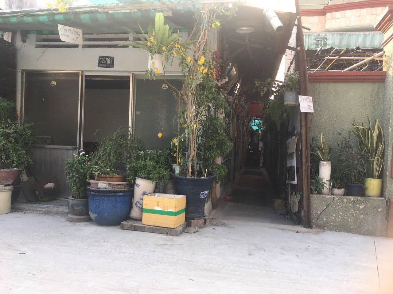 Chính chủ cần bán lô đất hẻm đường Quang Trung, Phường 11, Quận Gò Vấp, Hồ Chí Minh