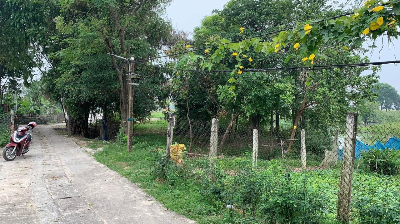 chủ giảm chào bán đất Bán đất- Lỗ Giao-Việt Hùng giá mới nhất còn 5.2 tỷ