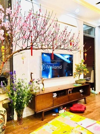 GIA ĐÌNH CẦN BÁN CĂN HỘ CAO CẤP 713 LẠC LONG QUÂN