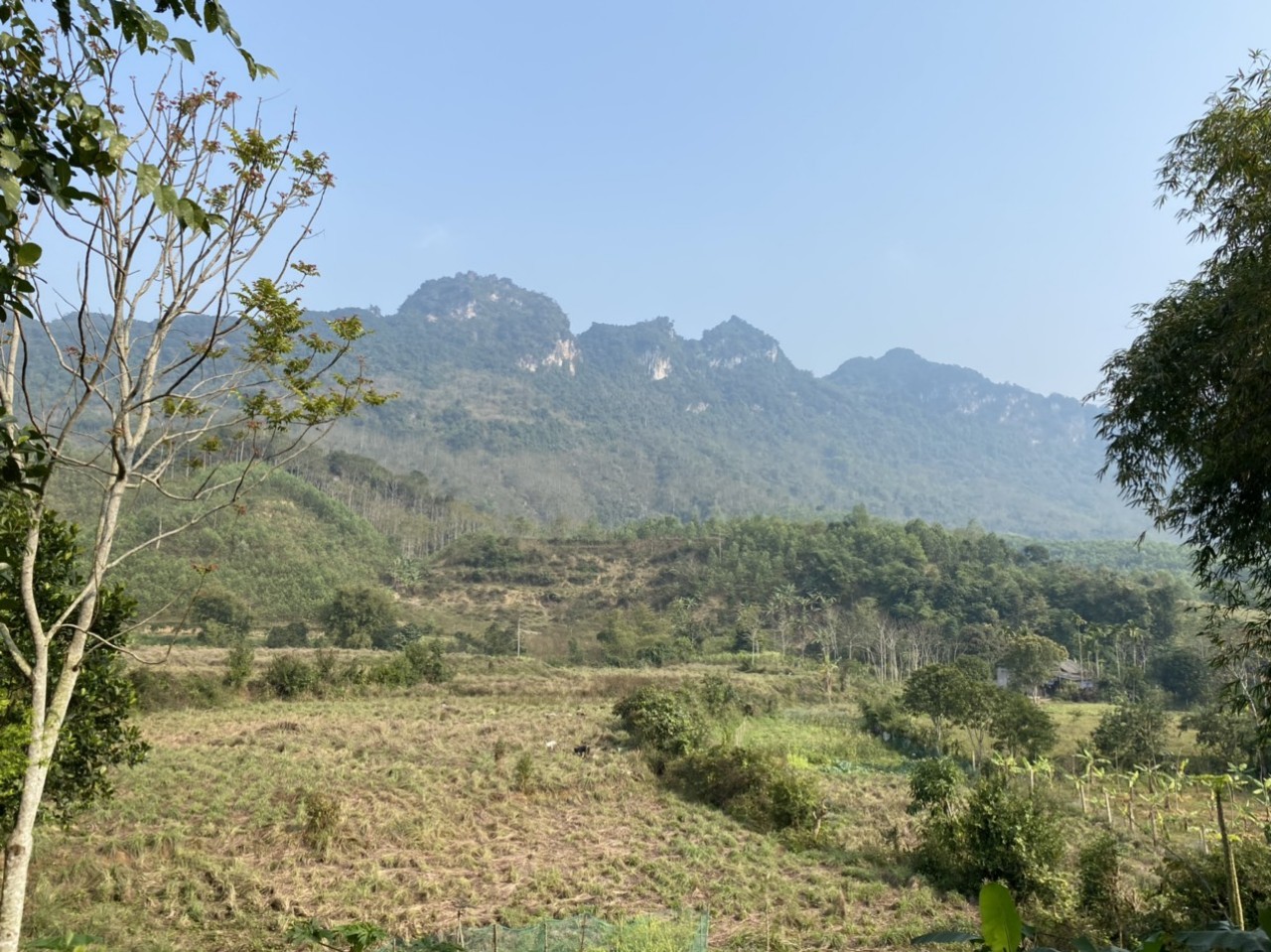 BÁN 1680M BÁM DT12B KIM BÔI 50M MÀ GIÁ SÀN CHỈ 3.X TỶ