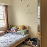 64m2 - 4