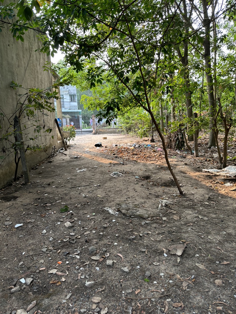 Kẹt vốn bán đất mặt tiền đường bến than, xã hòa phú, huyện củ chi, tp. hồ chí minh